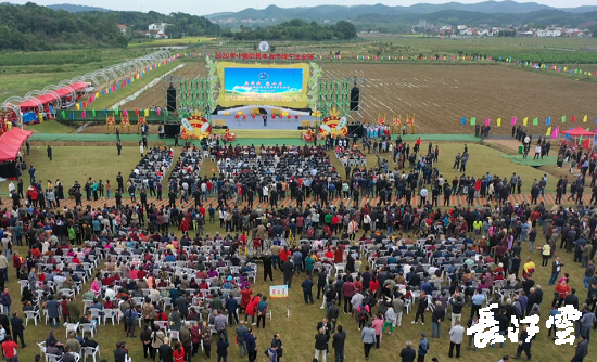 　　9月21日，咸寧市咸安區(qū)高橋蘿卜小鎮(zhèn)百畝草地上舉行了“慶豐收·迎小康”第三屆中國農民豐收節(jié)湖北分會場咸寧主會場慶祝活動，全市各界農民代表相聚白水畈的美麗田野，分享豐收的喜悅，慶祝屬于自己的節(jié)日。  　　開幕式上舉行了精彩的文藝演出，演出在舞蹈《慶豐收》中拉開序幕，歌舞《錦繡小康》呈現出咸寧各地欣欣向榮、脫貧致富奔小康的幸福場景。網紅歌曲《你莫走》、舞蹈《慶豐收》、歌舞《一起幸福》，一個個精彩的節(jié)目輪番上演，博得現場觀眾陣陣掌聲。  　　開幕活動現場還舉行了頒獎儀式，第二屆“美麗中國、鄉(xiāng)村振興”全國農民詩歌邀請賽獲獎組織和個人，全市農村人居環(huán)境整治示范村，省級農業(yè)產業(yè)化工作先進集體和先進個人上臺領獎?，F場還舉行了鄂南民俗展演、農民趣味運動會、扶貧農產品以及咸寧特色農產品展銷等豐富多彩的活動?；鸨娜藲?，讓在場的展銷商賺得是盆滿缽滿。  　　咸寧市咸安區(qū)鑫達種養(yǎng)專業(yè)合作社理事長萬永輝：今年家里的香菇都豐收了，一上午我就賣出了一萬多元，我們合作社采取的是“合作社+農戶”的模式，也帶領了20多戶貧困戶脫貧了。  　　咸寧市致遠種植專業(yè)合作社理事長 吳海兵:我們今年是真真正正地豐收了，我們生姜的價格足足翻了三倍，跟著我們一起的貧困戶也平均增收了3000元左右。  　　而這一系列的活動，都是在蘿卜小鎮(zhèn)的草地上進行的，草地作舞臺、草地搞展示、草地上比賽等等，這數百畝草地，此時此刻成為了咸寧農民們慶祝豐收的歡樂場。  　　咸寧市咸安區(qū)高橋鎮(zhèn)黨委書記王順榮：今年的湖北分會場在我們高橋蘿卜小鎮(zhèn)舉辦，我感到很榮幸，我們從一顆蘿卜做起，以白水畈蘿卜為核心品牌，打造白水畈"我家菜園"蔬菜基地及旅游觀光體驗中心，發(fā)展綠色農業(yè)、生態(tài)旅游，增加產業(yè)開發(fā)的綜合效益，創(chuàng)建蘿卜特色小鎮(zhèn)，走出了一條農業(yè)、旅游相結合的新路，推動高橋鎮(zhèn)一二三產業(yè)融合發(fā)展。  　　鄉(xiāng)親們說，這在以前是想都不敢想的，高橋鎮(zhèn)蝸居山里，太偏遠又沒有資源優(yōu)勢，想發(fā)展太難。而現在這一切的悄然改變，得益于2017年10月13日，咸安區(qū)政府與鄂旅投公司正式簽署的《131軍旅小鎮(zhèn)+白水畈田園綜合體旅游開發(fā)投資合作協(xié)議》，鄂旅投公司將投資30億元，在高橋鎮(zhèn)打造131軍旅小鎮(zhèn)和白水畈田園綜合體旅游開發(fā)項目。項目共分為131軍旅小鎮(zhèn)、白水畈美麗鄉(xiāng)村、特色農業(yè)示范、旅游綜合體四大板塊，打造旅游綜合服務區(qū)、澄水洞軍事展示區(qū)、青少年國防教育基地、鐵血軍事樂園區(qū)、戰(zhàn)狼訓練基地、美麗村灣民俗區(qū)、四季瓜果示范區(qū)、農耕文化展示區(qū)、特色商業(yè)街區(qū)和康養(yǎng)度假區(qū)十大功能區(qū)。  　　咸寧市咸安區(qū)高橋鎮(zhèn)黨委書記王順榮：我們引進鄂旅投，打造蘿卜小鎮(zhèn)，目前建設有蘿卜小鎮(zhèn)科普館、蘿卜鄉(xiāng)學院、蘿卜酒店等休閑旅游項目，十一馬上到了，也歡迎廣大游客前來游玩。  　　今年是決勝全面建成小康社會、決戰(zhàn)脫貧攻堅之年。咸寧市本著"儉樸、祥和、歡樂，農民參與，農民唱主角"的辦節(jié)思路，而此屆中國農民豐收節(jié)辦節(jié)費用也是倍減。  　　農為邦本，本固邦寧。今年，面對重大疫情和特大洪澇災害，咸寧市扎實做好“六穩(wěn)”工作、落實“六保”任務，克服重重困難，推動農業(yè)實現持續(xù)平穩(wěn)發(fā)展，形成了茶葉、油茶、中藥材等12個特色農業(yè)主導產業(yè)，“全國一村一品示范村鎮(zhèn)”發(fā)展到14家，國家級、省級農業(yè)產業(yè)化龍頭企業(yè)達到55家。尤其是糧食產量預計達118萬噸、蔬菜產量預計達260萬噸，生豬預計出欄183.52萬頭，農業(yè)生產再獲豐收，糧食安全有效保障，讓農民的腰包更鼓、家園更美、生活更甜，為加快實施鄉(xiāng)村振興戰(zhàn)略、推動咸寧高質量發(fā)展提供堅實保障。